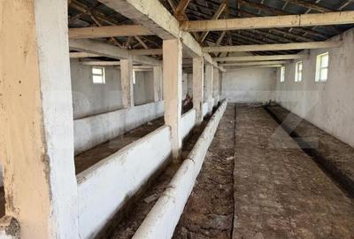 Spațiu comercial, de 952 mp, în Central - 5