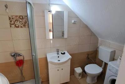 Casa de inchiriat Domnesti Ilfov - 4