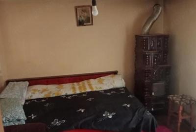 Casă cu 2 camere cu Teren 3000 Mp în Central - 4