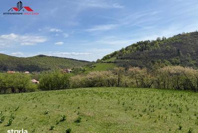 Teren de 8330 mp, în Vințu de Jos - 16