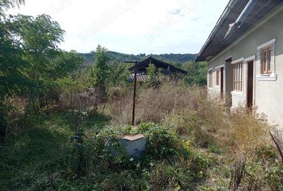 Teren si casa de vanzare aproape de SINAIA - 2