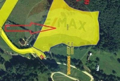 Teren extravilan de 20000 mp, în Dălghiu - 5