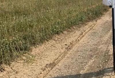 Teren de 500 mp, în Ciolpani - 2