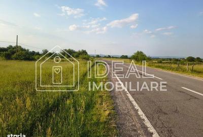 Spațiu comercial, în Cârțișoara - 1