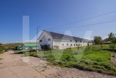 Proprietate industriala cu hale moderne, teren generos si acces Autostrada A1 Proprietate industriala cu hale moderne, teren generos si acces Autostrada A1 - 1