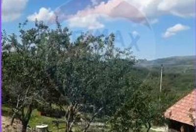 Casă individuală cu 2 camere cu Teren 17490 Mp în Ponor - 6