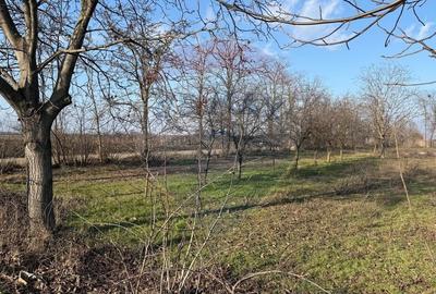 Teren Construcții intravilan de 2300 mp, în Petrești - 5