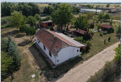 Spațiu industrial, de 1,000 mp, în Periferie - 2