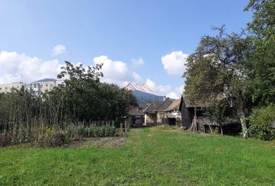 Casa 3 camere, teren 3625 mp, toate utilitatile, Sacele, Brasov - 6