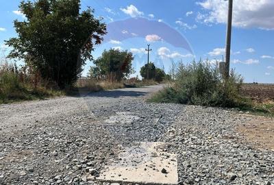 De vanzare teren intravilan 4000 mp deschidere 150 m Fundulea - 6