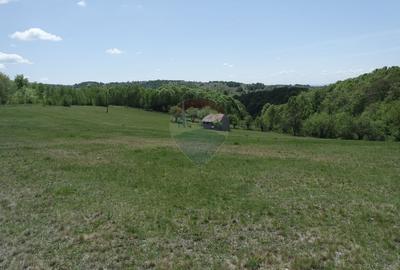 Teren extravilan de 15726 mp, în Preluca Nouă - 4