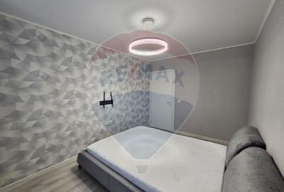 Apartament 2 camere de inchiriat Hils Pallady - 10