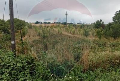 Teren de 2341 mp, în Uileacu de Munte - 2