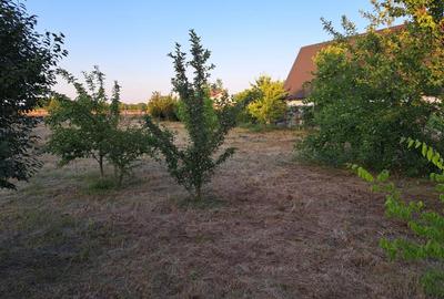 Teren intravilan de 800 mp, în Sud-Vest - 2