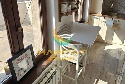 Apartament cu 3 camere, mobilat în Parcul Carol - 10
