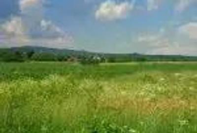 Teren in Urleta,intravilan industrial - 1