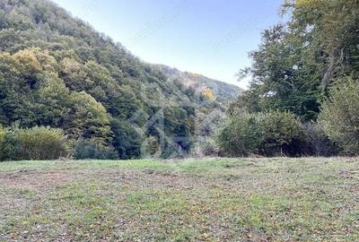 Teren de 2482 mp, în Bratca - 1