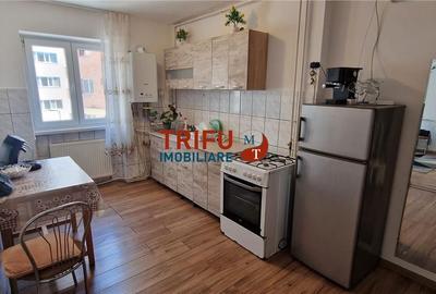 Apartament cu 2 camere semidecomandat în Cetate - 6