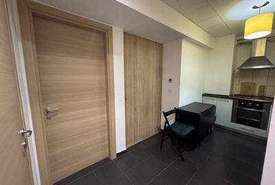 Apartament  2 camere - complet mobilat utilat - Rin Residence - 5