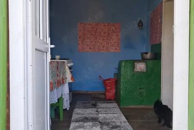 Casa batraneasca de vanzare - 4