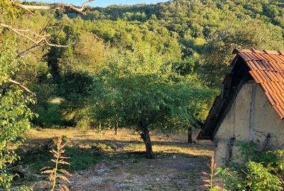 Casă cu 3 camere în Căpruța - 2