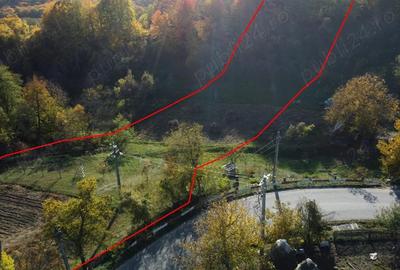 Teren de 5404 mp, în Vernești - 8