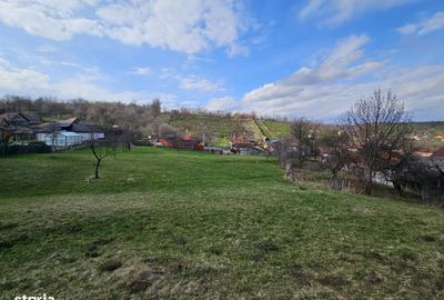 Spațiu comercial, în Coman - 8