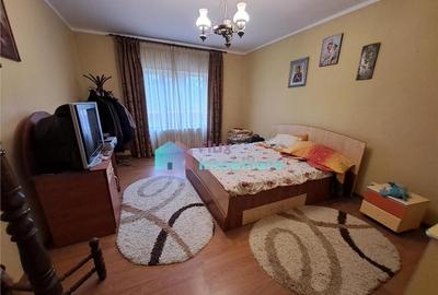 Vila spatioasa Itcani - 17