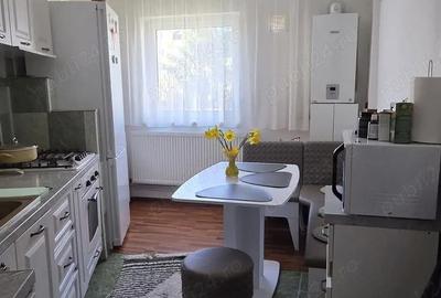 Apartament cu 2 camere decomandat în Cetate - 7