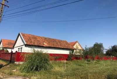 Casă cu 3 camere în Sacoșu Mare - 1
