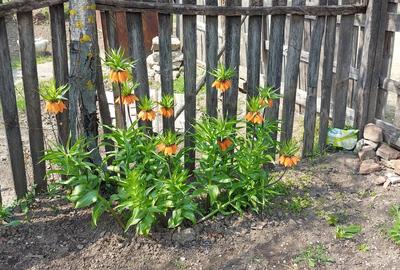 Teren în Central - 5