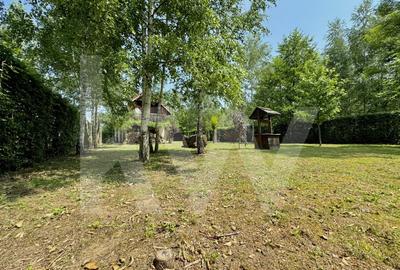 Cabana rustica de vis pe Valea Avrigului – un colt de rai in mijlocul naturii - 2