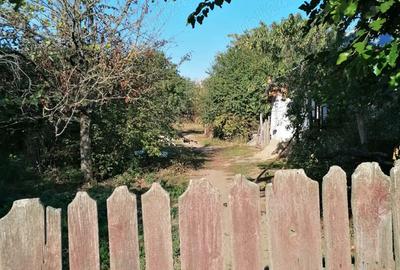 Casă cu 2 camere cu Teren 1700 Mp în Scrioaștea - 3