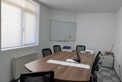 Proprietar – Domenii, vilă pentru birouri sau cabinete medicale - 4