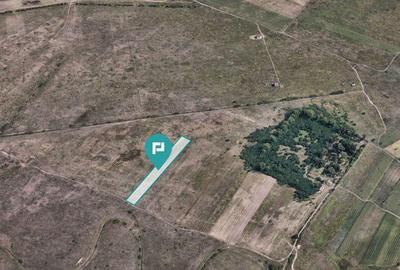 Teren extravilan de 10.000 mp - 6