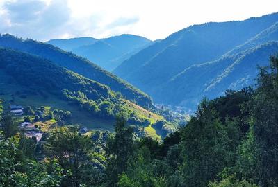 Casă cu 3 camere în Plopi - 7