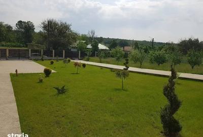 Casă cu 6 camere cu Teren 3172 Mp în Cobia - 9