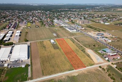 Teren Construcții intravilan de 7500 mp, în Brănești
