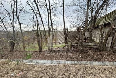 Teren 1942 mp, ideal casa de vacanta, alte activitati, Herneacova. - 3