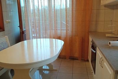 Închiriez vilă în Bucium (spate Bellaria) - 4