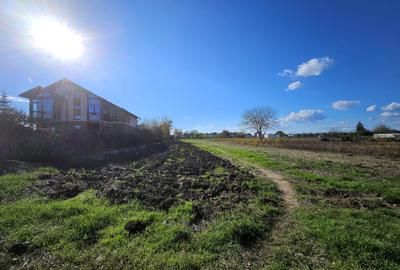 Teren intravilan Moara Vlasiei / Caciulati / 1.748 mp / D: 15.8 m / comision 0% Teren intravilan Moara Vlasiei / Caciulati / 1.748 mp / D: 15.8 m / comision 0% - 6