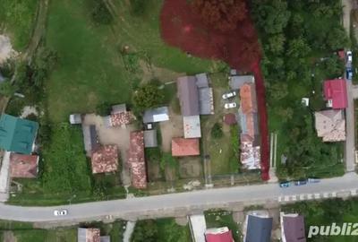 Teren de 4380 mp, în Nicolaești - 1