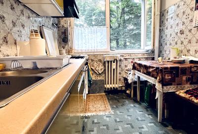 Apartament cu 2 camere semidecomandat în Liviu Rebreanu