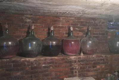 Casă cu 5 camere în Teiș - 3