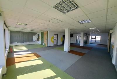 Birou, 170 mp în Bună Ziua