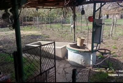 Casă cu 4 camere în Nicolae Bălcescu - 6