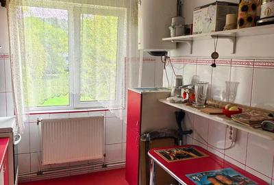 Apartament cu 3 camere semidecomandat în Petros - 9