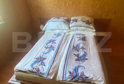 Casa de vanzare cu teren, in Pojorata, la sosea asfaltata - 11