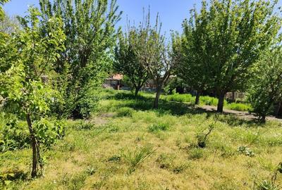 Casă cu 4 camere în Mitreni - 6