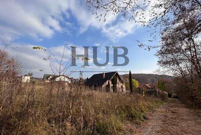 Teren Construcții extravilan de 1095 mp, în Podiș - 6